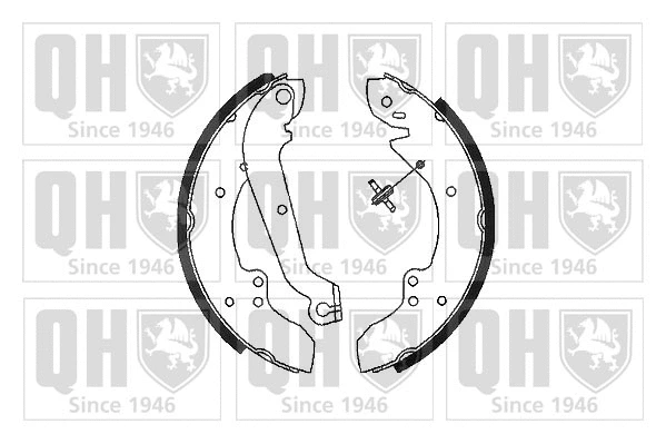 Brake Shoe Set (BS613)