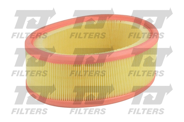 Air Filter (QFA0729)