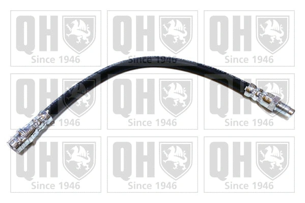 Brake Hose (BFH6038)