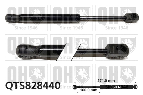 Gas Spring, boot/cargo area (QTS828440)