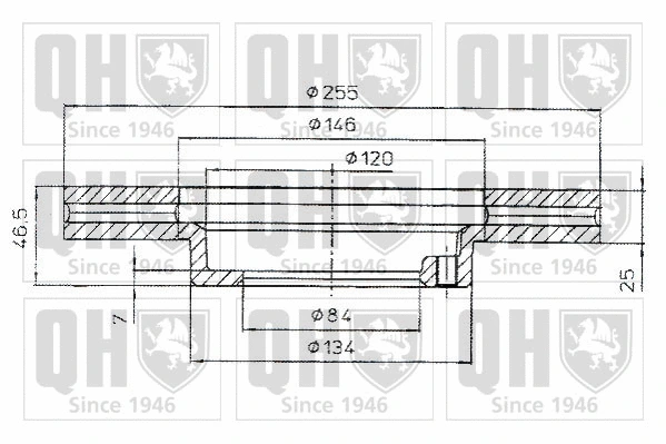 Brake Disc (BDC4818)