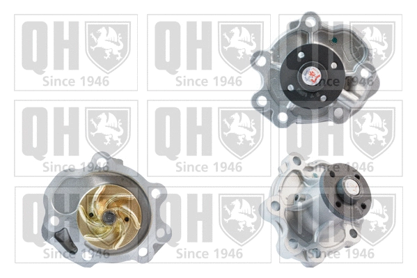 Water Pump, engine cooling (QCP3704)
