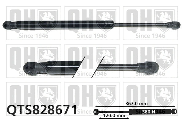 Gas Spring, boot/cargo area (QTS828671)