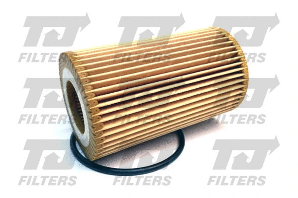 Oil Filter (QFL0398)