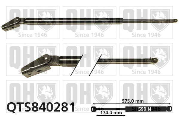 Gas Spring, boot/cargo area (QTS840281)