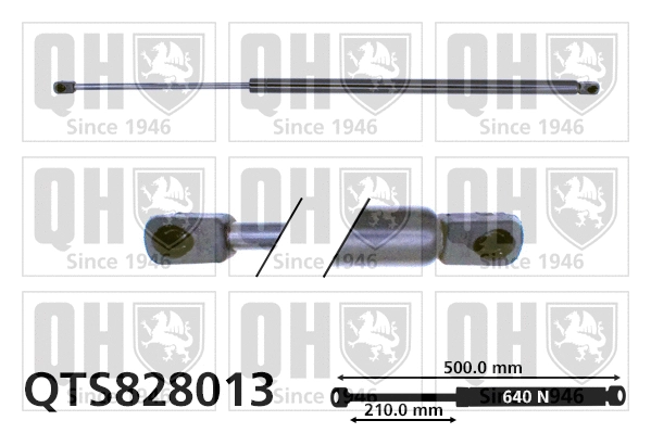 Gas Spring, boot/cargo area (QTS828013)