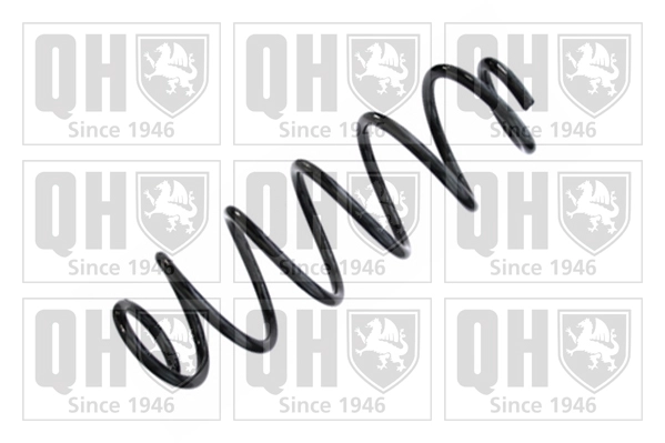 Suspension Spring (QCS8433)