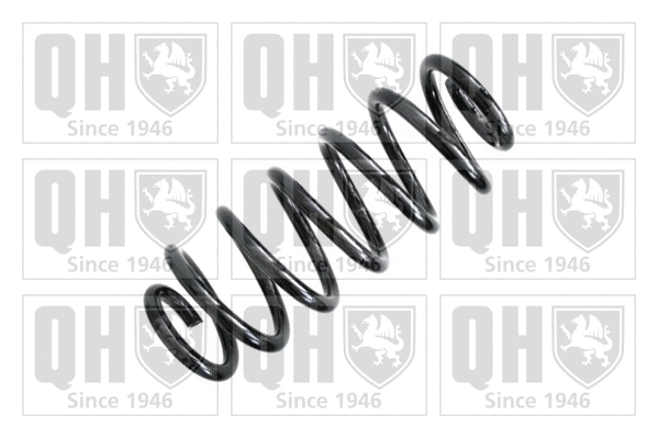 Suspension Spring (QCS5079)