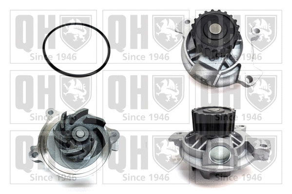 Water Pump, engine cooling (QCP3620)
