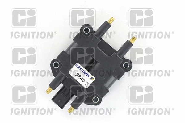 Ignition Coil (XIC8369)