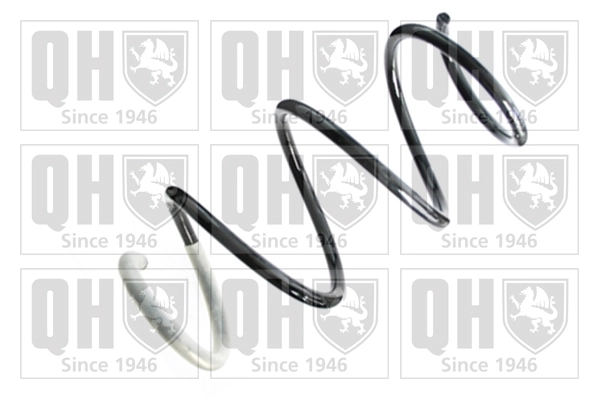 Suspension Spring (QCS8379)