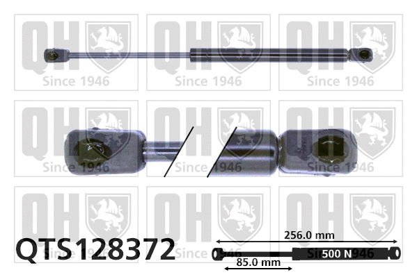 Gas Spring, boot/cargo area (QTS128372)