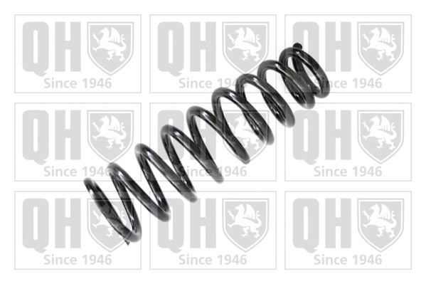 Suspension Spring (QCS6143)