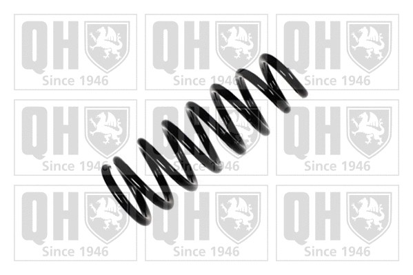 Suspension Spring (QCS6573)