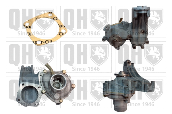 Water Pump, engine cooling (QCP3399BH)