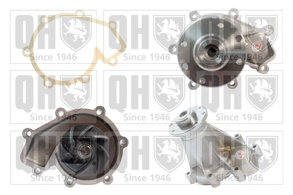 Water Pump, engine cooling (QCP1435)