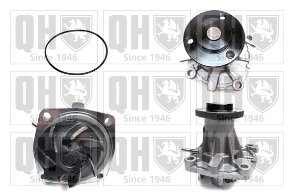 Water Pump, engine cooling (QCP3363)