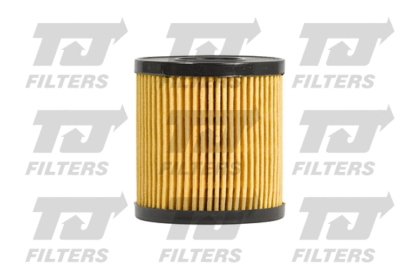 Oil Filter (QFL0107)