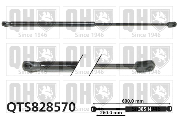 Gas Spring, boot/cargo area (QTS828570)