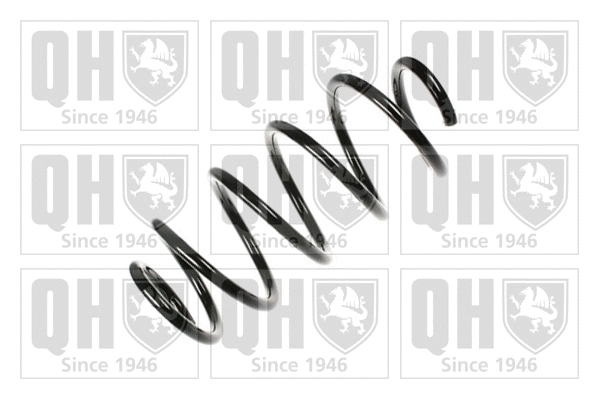 Suspension Spring (QCS6548)