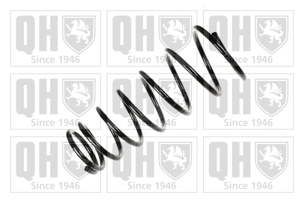 Suspension Spring (QCS6841)