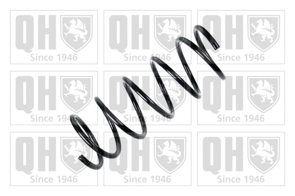 Suspension Spring (QCS6101)