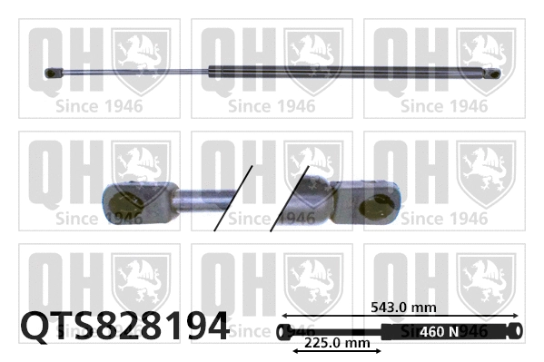 Gas Spring, boot/cargo area (QTS828194)