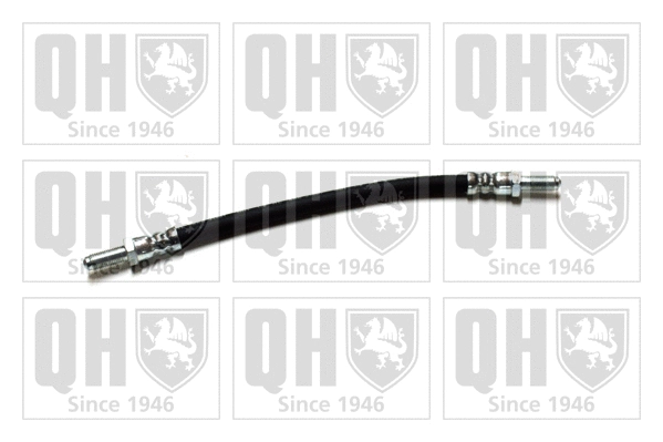Brake Hose (BFH1120)