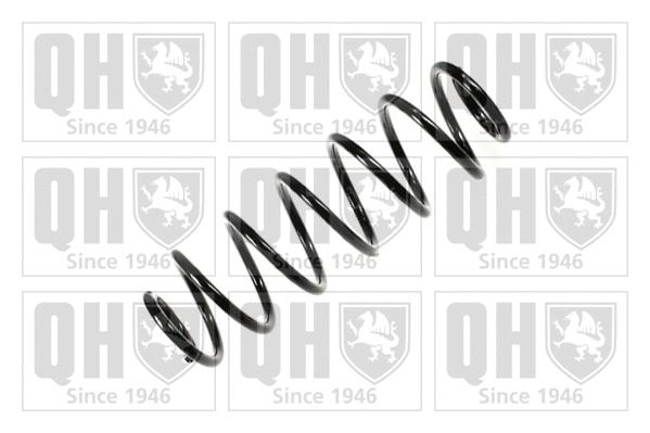 Suspension Spring (QCS6787)