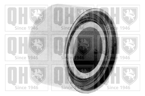 Deflection/Guide Pulley, timing belt (QTT955)