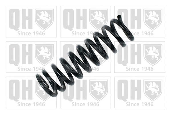 Suspension Spring (QCS6343)