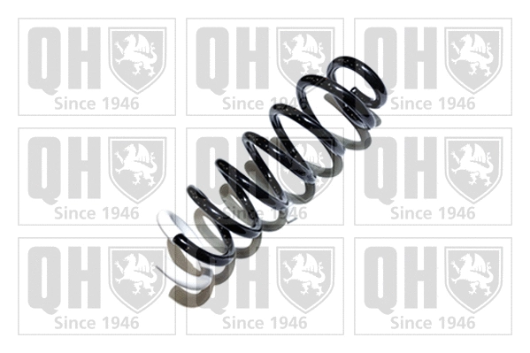 Suspension Spring (QCS5329)