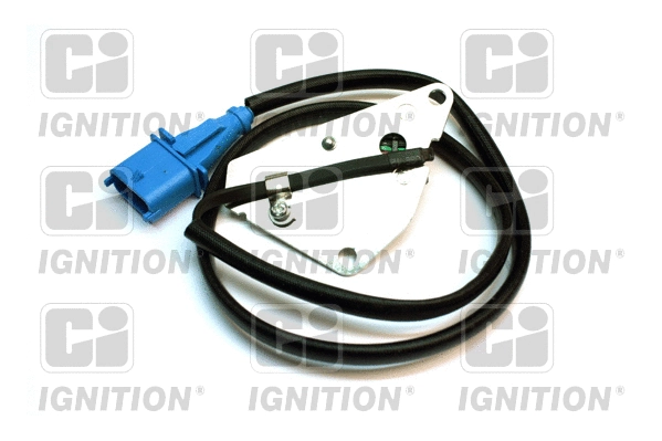Sensor, camshaft position (XREV212)