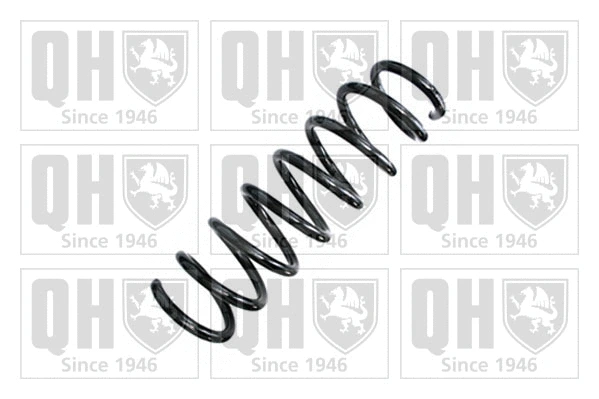 Suspension Spring (QCS9033)