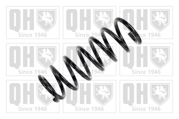 Suspension Spring (QCS5398)