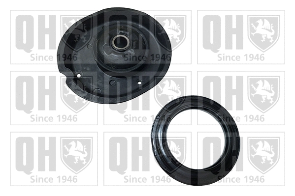 Repair Kit, suspension strut support mount (EMA4848)