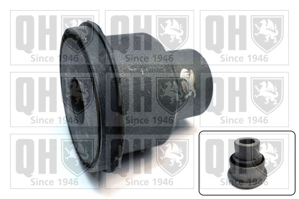 Mounting, control/trailing arm (EMS8783)
