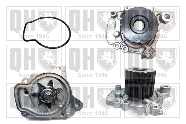 Water Pump, engine cooling (QCP3380)