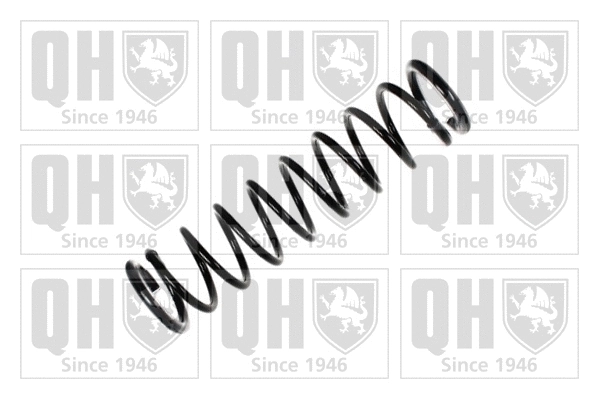 Suspension Spring (QCS7566)