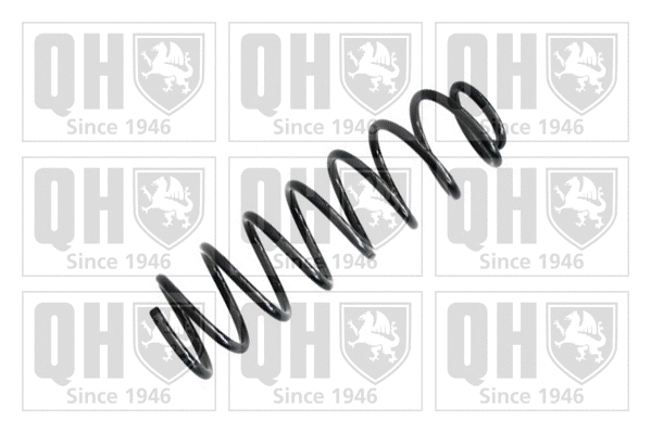 Suspension Spring (QCS7562)