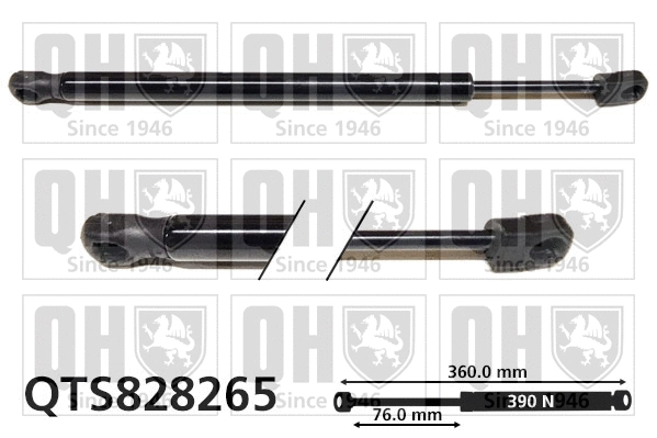 Gas Spring, boot/cargo area (QTS828265)