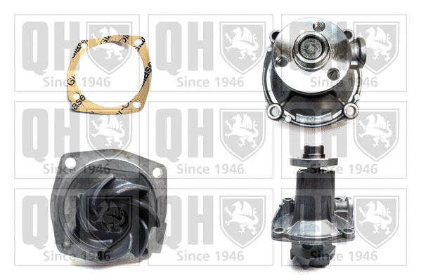 Water Pump, engine cooling (QCP972)