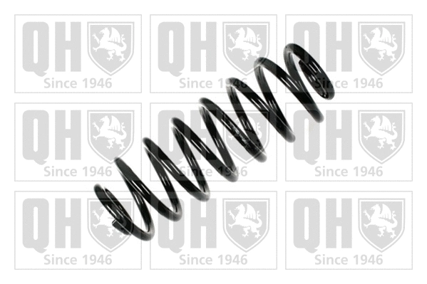 Suspension Spring (QCS6894)