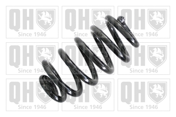 Suspension Spring (QCS6719)