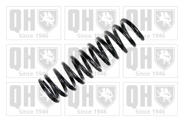 Suspension Spring (QCS6718)