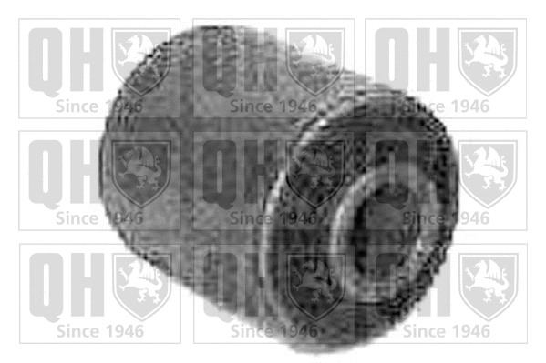 Mounting, control/trailing arm (EMS2209)