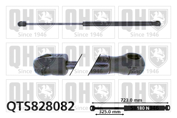 Gas Spring, bonnet (QTS828082)