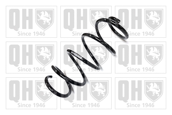 Suspension Spring (QCS5229)