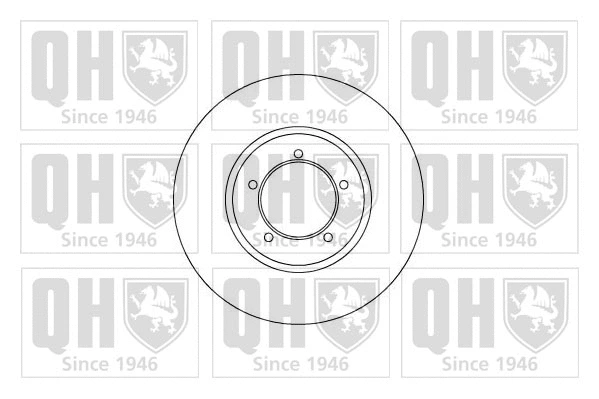 Brake Disc (BDC4304)