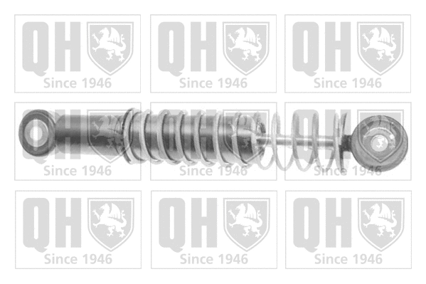 Vibration Damper, timing belt (QTT1134)